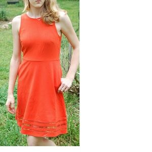 NEW Banana Republic Women Spring Cutout Dress 0-14